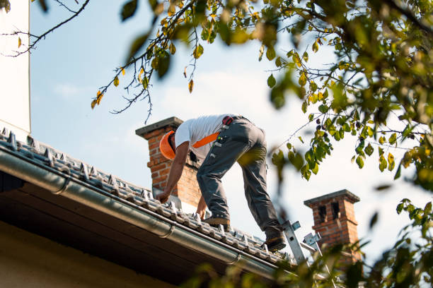 Best Green or Eco-Friendly Roofing Solutions  in La Grange, KY