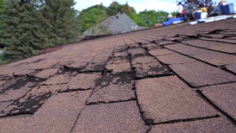 Best Steel Roofing  in La Grange, KY