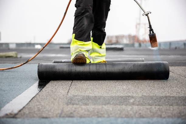 Best Roof Maintenance and Cleaning  in La Grange, KY