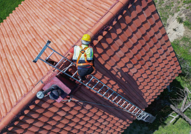 Best Roof Coating and Sealing  in La Grange, KY