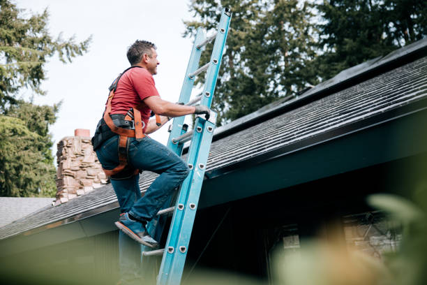 Best Rubber Roofing (EPDM, TPO)  in La Grange, KY
